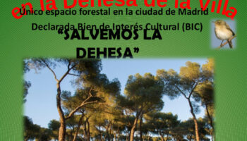 Quinta concentración para «salvar la Dehesa de la Villa de hormigón y palitroques», junto al kiosco de La Paloma (Madrid)