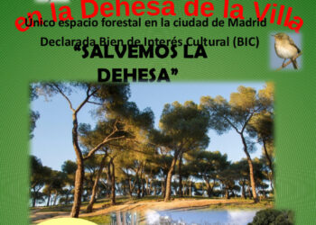 Quinta concentración para «salvar la Dehesa de la Villa de hormigón y palitroques», junto al kiosco de La Paloma (Madrid)
