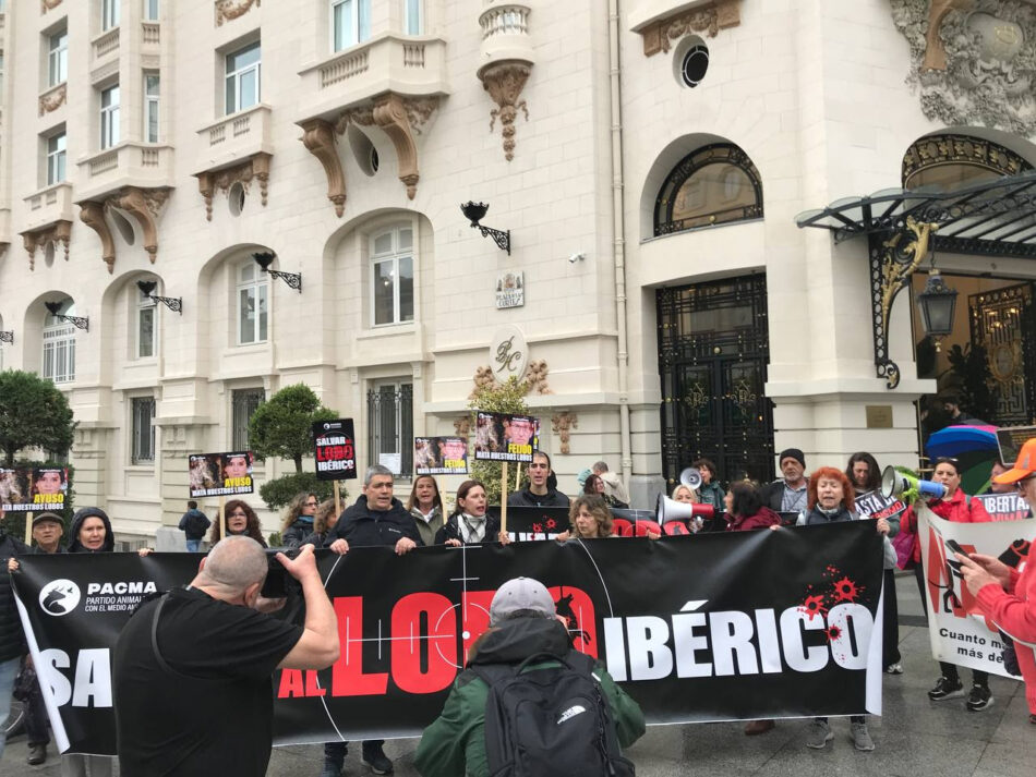 PACMA protesta frente al Congreso para devolver la protección al lobo ibérico
