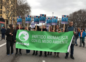 PACMA critica la negativa del MAPA ante su petición de modificar el controvertido «Decreto del demonio» a pesar de las protestas veterinarias