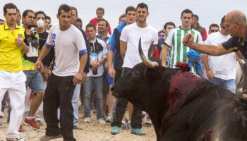 Adiós al Toro de La Vega: PACMA gana el Contencioso que sentencia el histórico Torneo