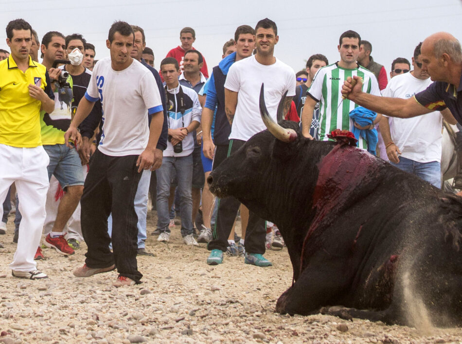 Adiós al Toro de La Vega: PACMA gana el Contencioso que sentencia el histórico Torneo