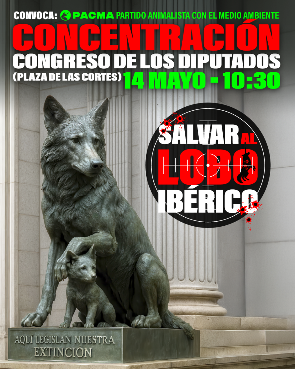 PACMA anuncia una concentración frente al Congreso para exigir la protección del lobo ibérico