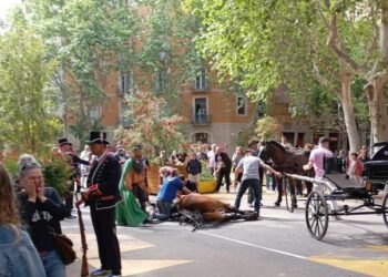 Muere súbitamente un caballo en la cabalgata de los Tres Tombs: PACMA pide responsabilidades