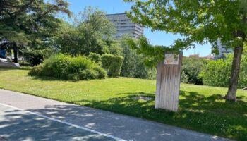 VTLP reclama al Ayuntamiento un mantenimiento de jardines sin químicos peligrosos