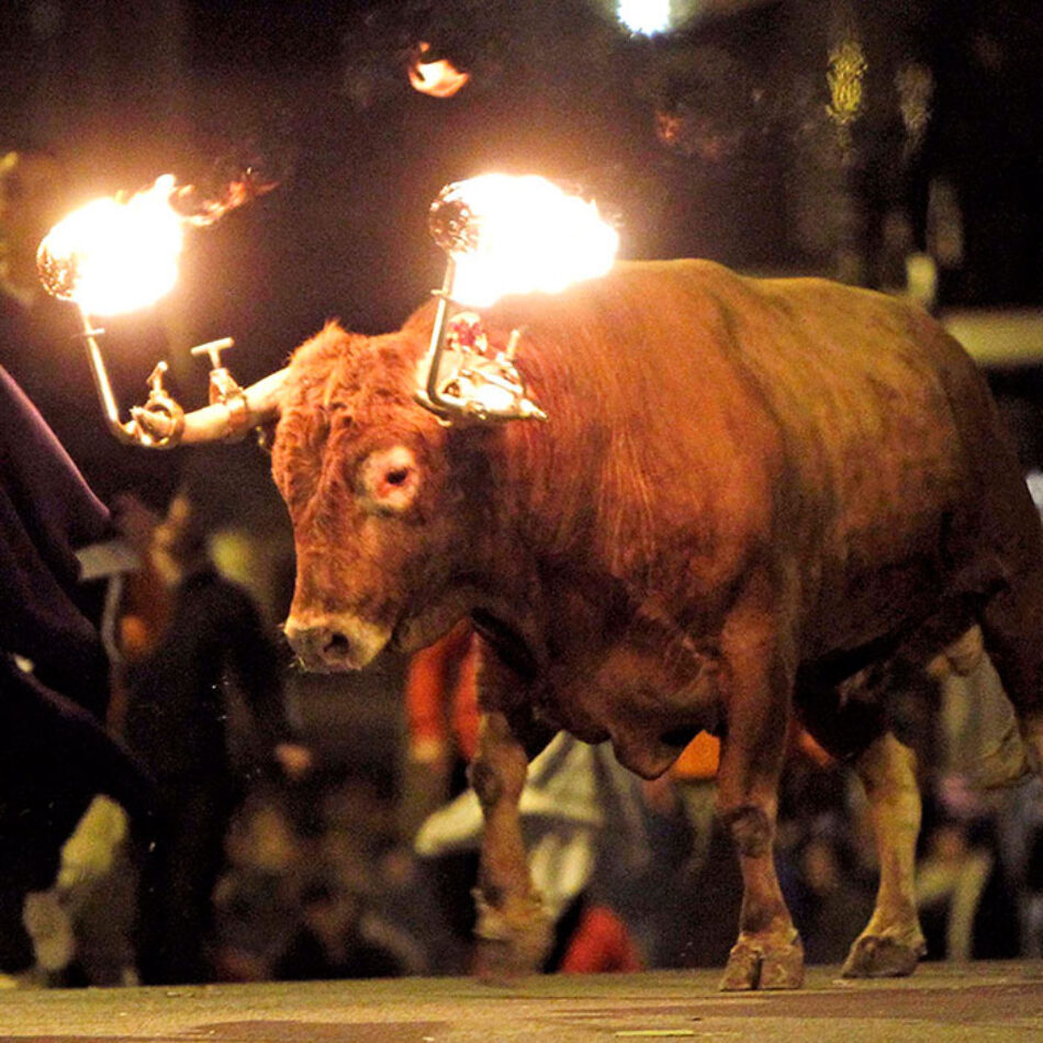 La plataforma antitaurina de Alfafar acusa al equipo de gobierno de falta de empatía por seguir con los festejos taurinos pese a la situación del pueblo