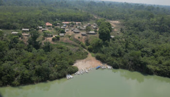 Un nuevo informe vincula al cuero que utilizan las grandes marcas de moda de lujo con la destrucción de la Amazonía brasileña