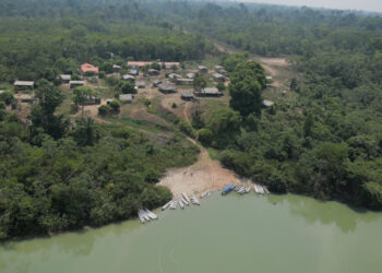 Un nuevo informe vincula al cuero que utilizan las grandes marcas de moda de lujo con la destrucción de la Amazonía brasileña