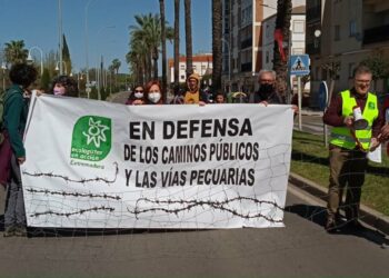 Piden a las administraciones que se respete la vegetación de las lindes de las vías pecuarias