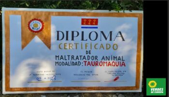 Verdes de Europa-Tarifa informa de una Becerrada el 19 de julio del clan de los señoritos “Nuñez” que pretende fomentar la diversión a base de maltrato y muerte animal