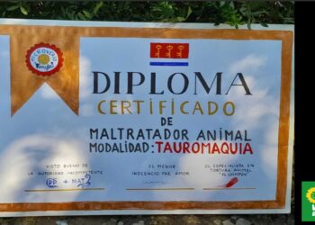 Verdes de Europa-Tarifa informa de una Becerrada el 19 de julio del clan de los señoritos “Nuñez” que pretende fomentar la diversión a base de maltrato y muerte animal