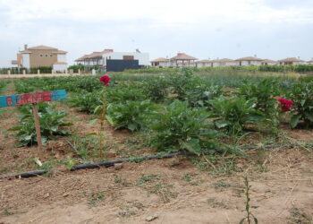 Izquierda Unida logra la aprobación en el Congreso de su iniciativa para impulsar la producción ecológica