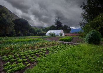La población de España podría alimentarse a través de una Dieta Climática con alimentos producidos en territorio estatal