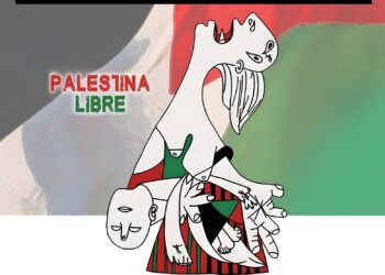 Organizaciones del movimiento PararLaGuerra.es se reúnen en el Congreso con PSOE y Sumar y les instan a apoyar las concentraciones del 14 de junio por el fin del genocidio en Gaza