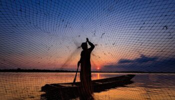 La Organización de las Naciones Unidas para la Alimentación y la Agricultura (FAO) alerta sobre la sobrepesca global, pero destaca avances en regiones con buena gestión