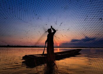 La Organización de las Naciones Unidas para la Alimentación y la Agricultura (FAO) alerta sobre la sobrepesca global, pero destaca avances en regiones con buena gestión