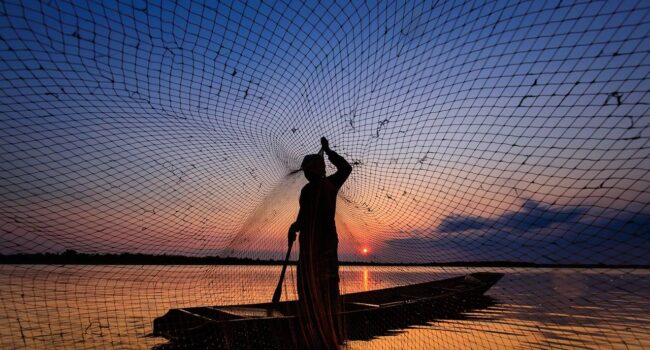 La Organización de las Naciones Unidas para la Alimentación y la Agricultura (FAO) alerta sobre la sobrepesca global, pero destaca avances en regiones con buena gestión