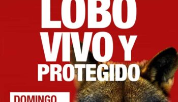 La sociedad civil se moviliza en Madrid en defensa del lobo vivo y protegido