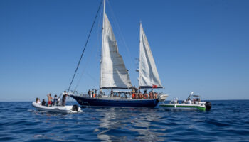 Un nuevo barco de la Flotilla de la Libertad zarpa hacia Gaza, con algunas personas voluntarias a bordo como el actor Liam Cunningham, la eurodiputada Rima Hassan o la activista Greta Thunberg