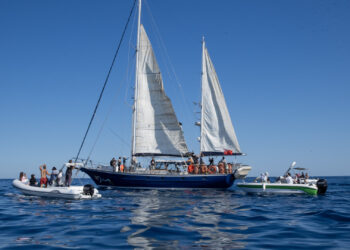 Un nuevo barco de la Flotilla de la Libertad zarpa hacia Gaza, con algunas personas voluntarias a bordo como el actor Liam Cunningham, la eurodiputada Rima Hassan o la activista Greta Thunberg
