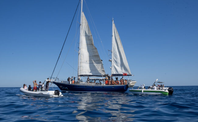 Un nuevo barco de la Flotilla de la Libertad zarpa hacia Gaza, con algunas personas voluntarias a bordo como el actor Liam Cunningham, la eurodiputada Rima Hassan o la activista Greta Thunberg