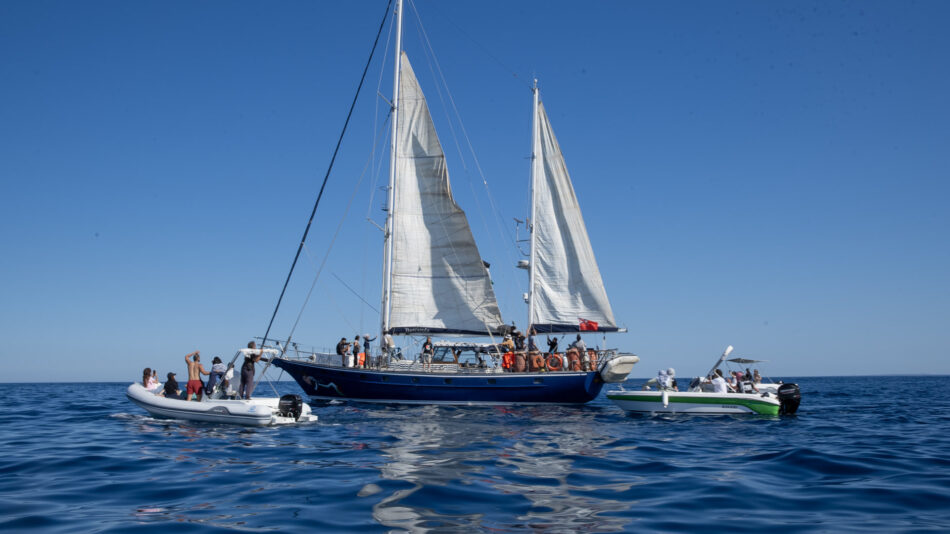 Un nuevo barco de la Flotilla de la Libertad zarpa hacia Gaza, con algunas personas voluntarias a bordo como el actor Liam Cunningham, la eurodiputada Rima Hassan o la activista Greta Thunberg