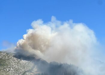 Coordinadora Ecoloxista d’Asturies advierte que hay indicios de delito ambiental en las quemas controladas del Principado 