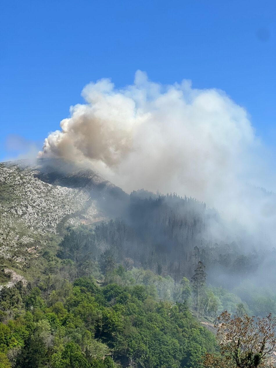 Coordinadora Ecoloxista d’Asturies advierte que hay indicios de delito ambiental en las quemas controladas del Principado