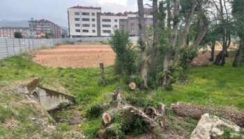 El Ayuntamiento de Llanera sancionado por talar el bosque de ribera de Posada sin autorización