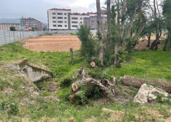 El Ayuntamiento de Llanera sancionado por talar el bosque de ribera de Posada sin autorización