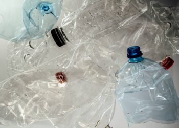 Una bacteria es capaz de convertir botellas de plástico en paracetamol