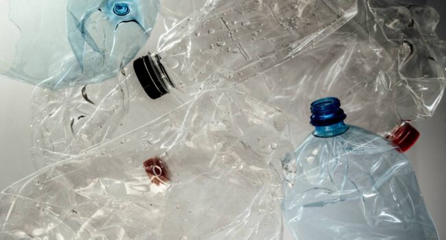 Una bacteria es capaz de convertir botellas de plástico en paracetamol
