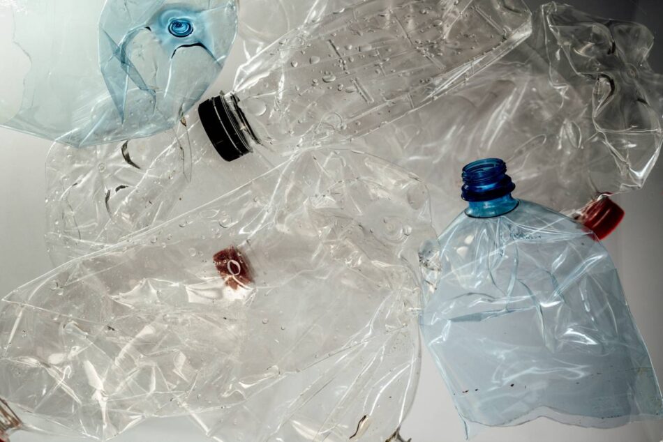 Una bacteria es capaz de convertir botellas de plástico en paracetamol