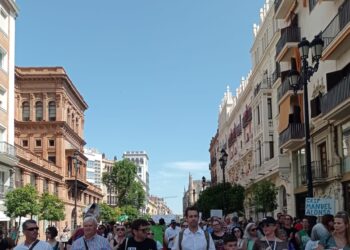 USTEA rechaza el acuerdo educativo de la Junta de Andalucía por insuficiente y excluyente