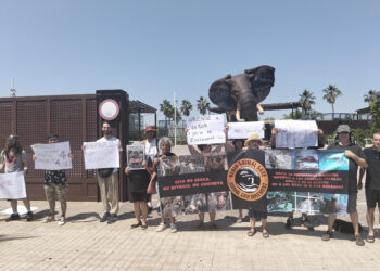 Activistas protestan frente al Bioparc para denunciar la realidad de los animales