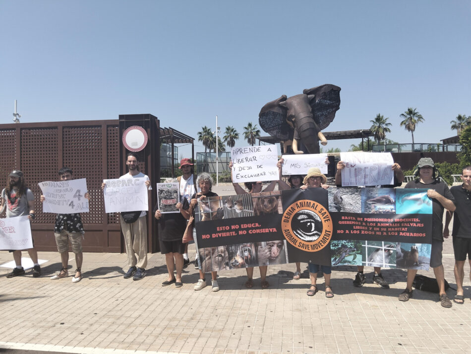 Activistas protestan frente al Bioparc para denunciar la realidad de los animales