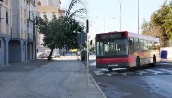 Nosotros También Somos Sevilla, tras la nueva suspensión de la empresa de autobuses municipales Tussam: «Por favor, no jueguen con nuestros derechos»
