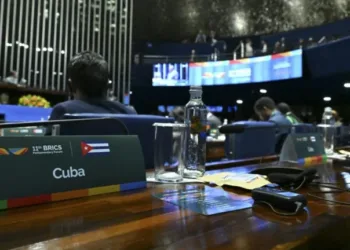 Foro de los BRICS debate creación de Alianza Interparlamentaria para la Salud Mundial