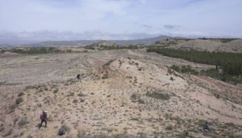 Los misterios de las plantas que ‘crean’ agua en el desierto