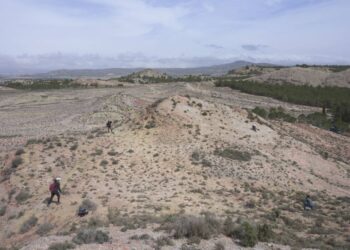 Los misterios de las plantas que ‘crean’ agua en el desierto