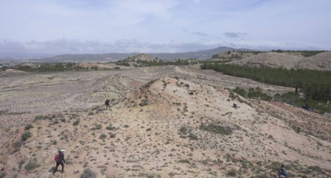 Los misterios de las plantas que ‘crean’ agua en el desierto