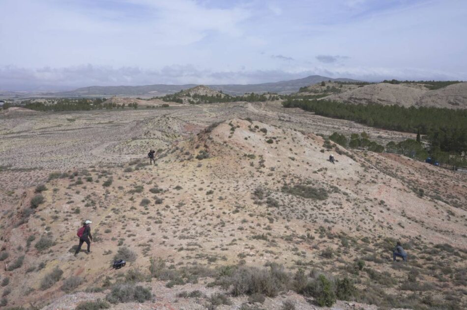Los misterios de las plantas que ‘crean’ agua en el desierto