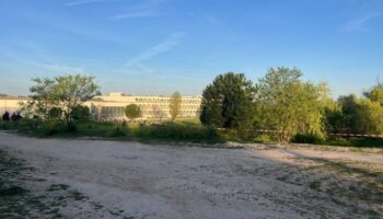 Multa máxima de 601 euros a vecinos de Montecarmelo por una sentada pacífica para proteger más de 200 árboles de las obras del cantón
