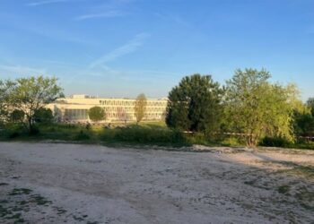 Multa máxima de 601 euros a vecinos de Montecarmelo por una sentada pacífica para proteger más de 200 árboles de las obras del cantón