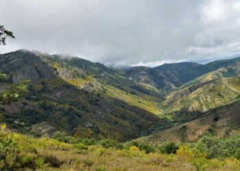 Ecologistas en Acción Palencia presenta alegaciones contra el proyecto de miradores en Polentinos