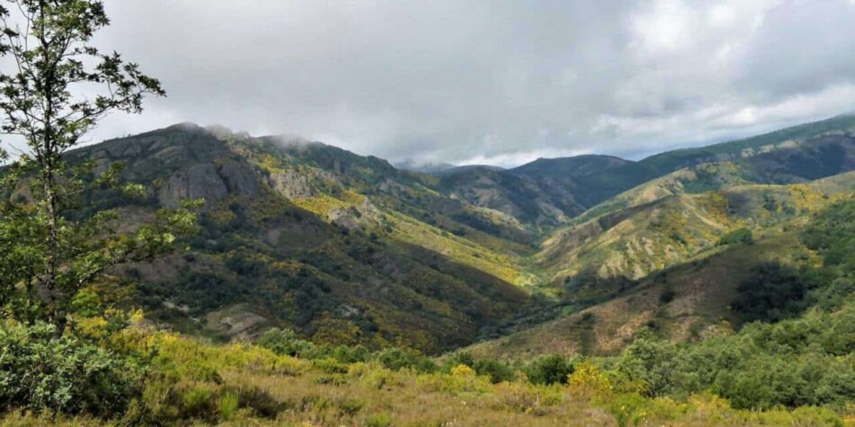 Ecologistas en Acción Palencia presenta alegaciones contra el proyecto de miradores en Polentinos