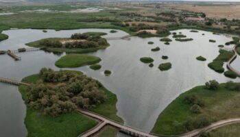 Alianza Verde urge al secretario de Estado de Medio Ambiente a dejarse de pusilanimidad y a tomar medidas para salvar las Tablas de Daimiel