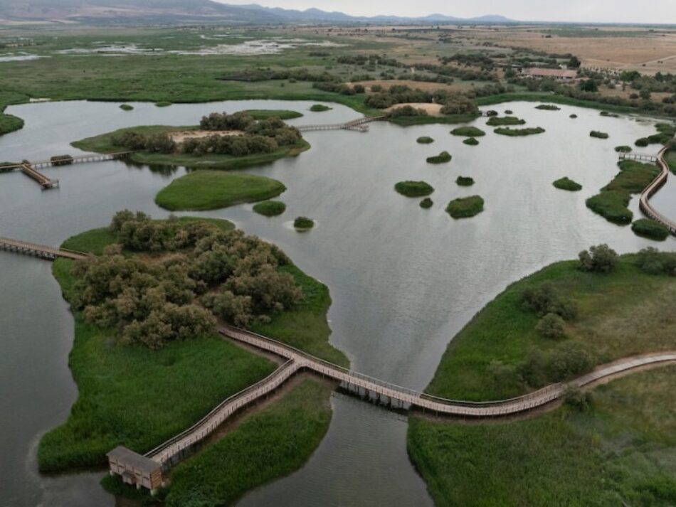 Alianza Verde urge al secretario de Estado de Medio Ambiente a dejarse de pusilanimidad y a tomar medidas para salvar las Tablas de Daimiel