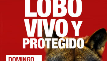 Más de un centenar de organizaciones de la sociedad civil se movilizan en Madrid en defensa del lobo vivo y protegido: domingo 22 de junio