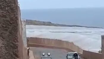 Oleada de protestas tras la muerte de un caballo en una carrera en Santa María de Guía: El Partido Animalista responsabiliza a la organización